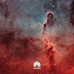 大人和女9孩做爰
