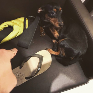 大人和女9孩做爰
