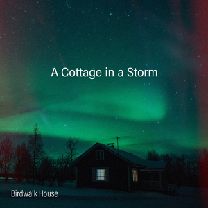 大人和女9孩做爰
